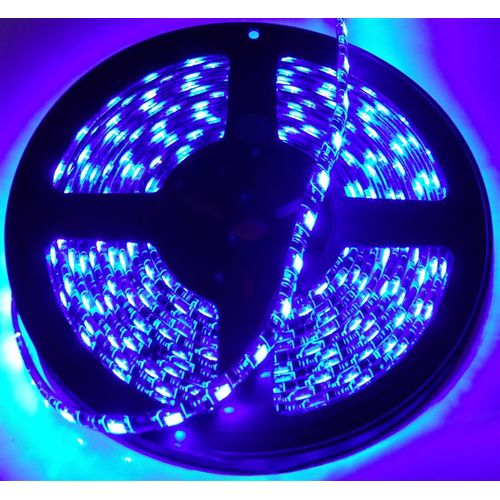 RS-5050-5MB 16ft (5M) 5050 LED Strip (Blue)